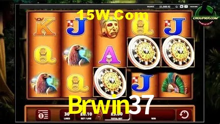 Experiência VIP Brwin37
